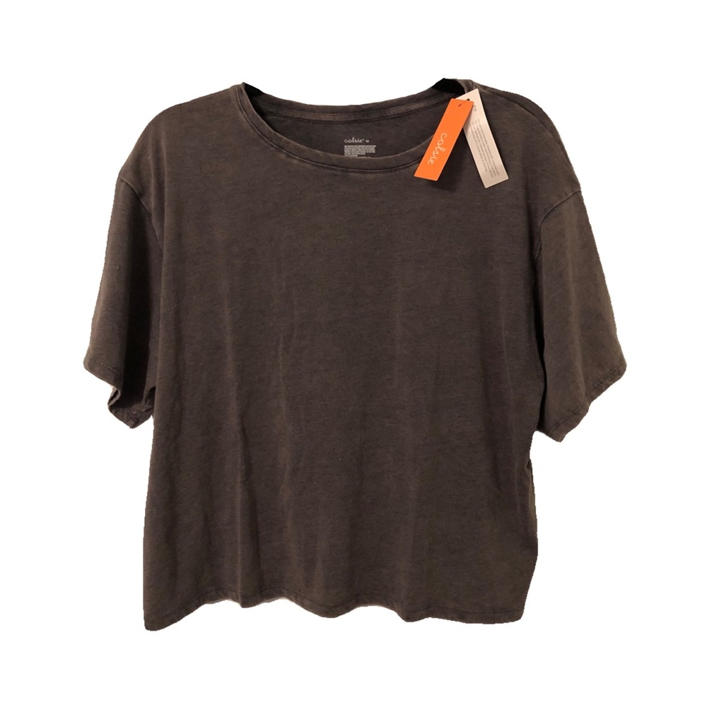 🆕 NWT Gray Loose Fitting Cropped Tee